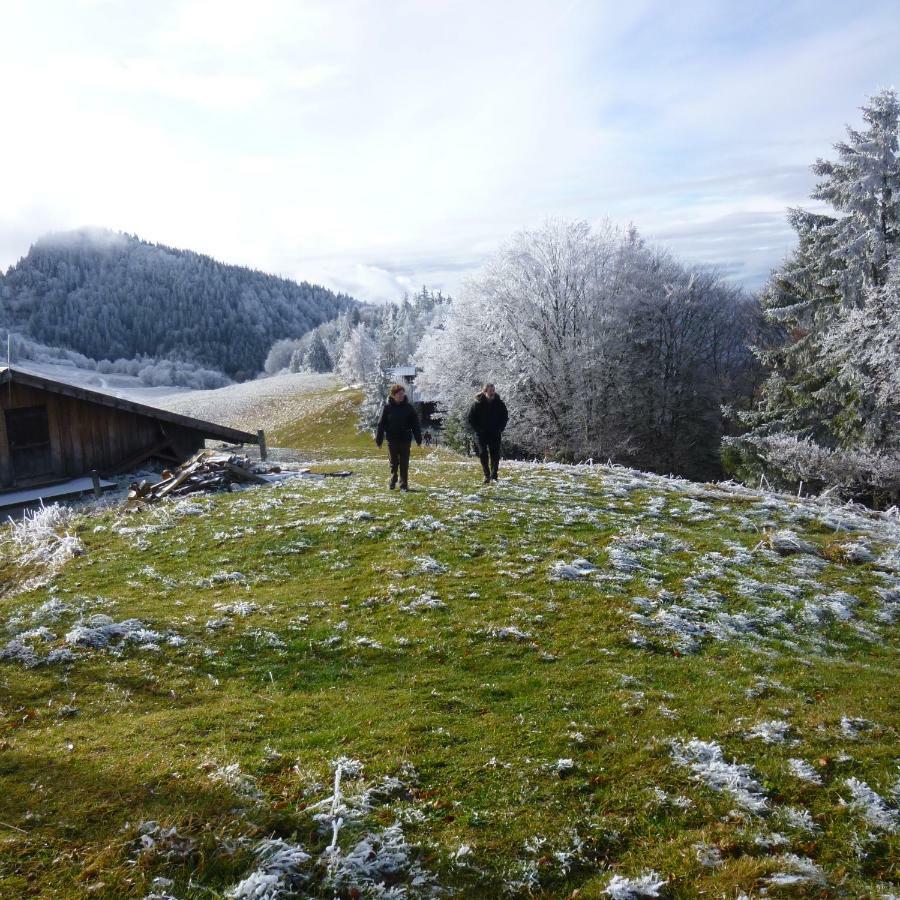 شقة Les Sapins Blancs Vacheresse المظهر الخارجي الصورة