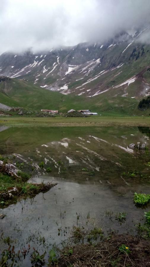 شقة Les Sapins Blancs Vacheresse المظهر الخارجي الصورة