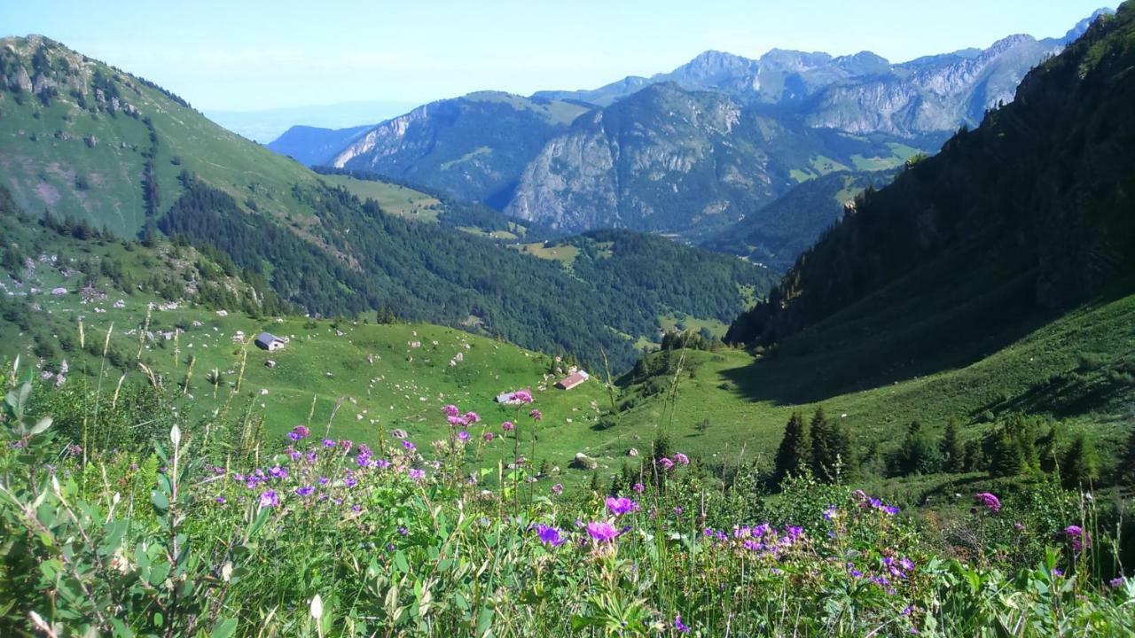 شقة Les Sapins Blancs Vacheresse المظهر الخارجي الصورة