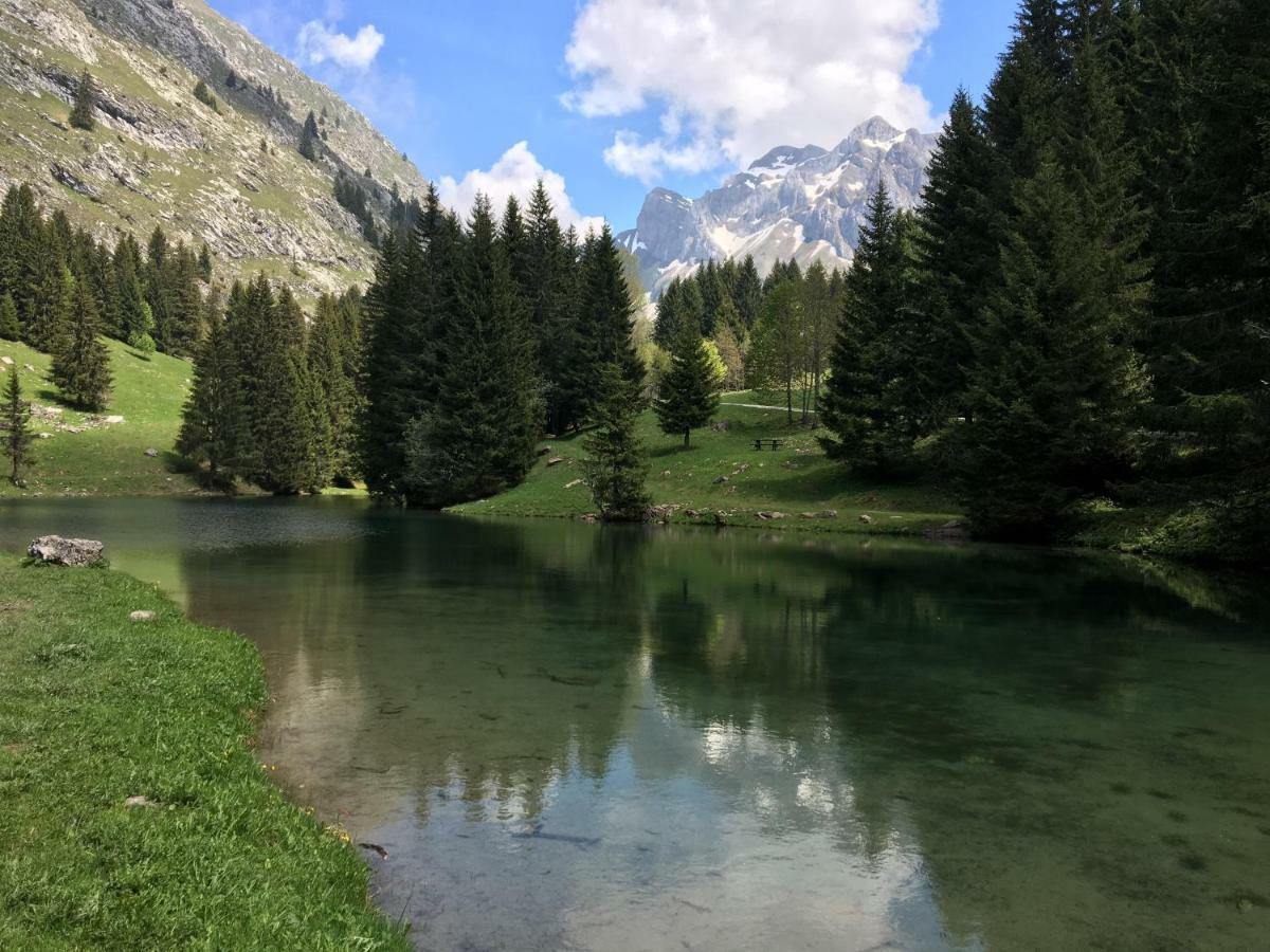 شقة Les Sapins Blancs Vacheresse المظهر الخارجي الصورة